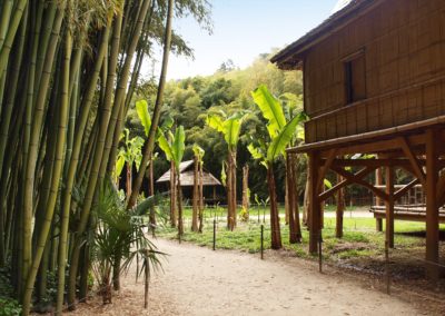 La bambouseraie à Générargues